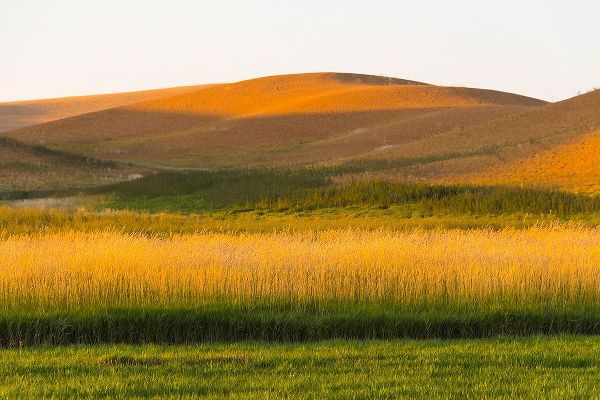 Su, Keren 아티스트의 Sunset view of wheat field-Palouse-Washington State-USA작품입니다.